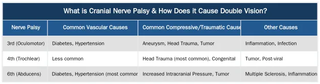 What is Cranial Nerve Palsy & How Does it Cause Double Vision? — Understanding Cranial Nerve Palsy (3rd, 4th, 6th) as a Cause for Diplopia Surgery