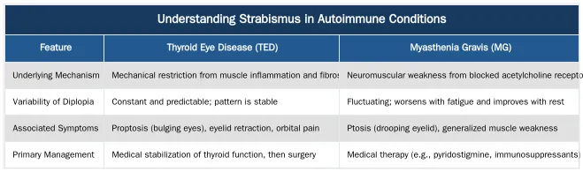 Understanding Strabismus in Autoimmune Conditions — How Conditions Like Thyroid Eye Disease or Myasthenia Gravis Lead to Strabismus